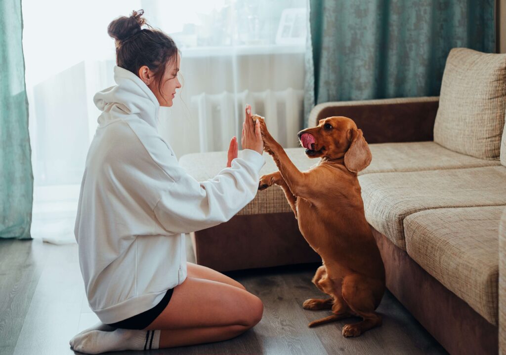 woman playing with dog