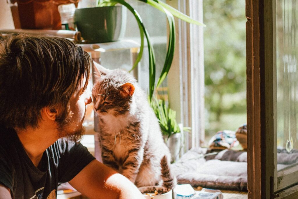 cat smelling a man's face 